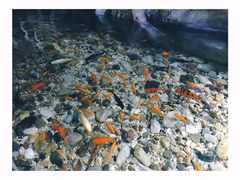 -福州罗源湾海洋世界旅游区