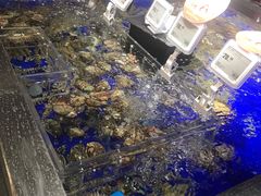 -盒马鲜生(新都心店)