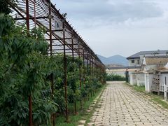 -大连北马山庄