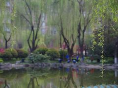 -木塔寺遗址生态公园
