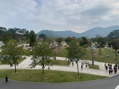 -白石龙音乐公园