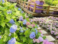 -沈阳植物园