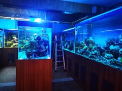 -御唐府海珊瑚主题餐厅