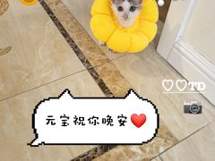 -爱派特动物医院·全科诊疗中心