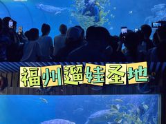 -左海海底世界