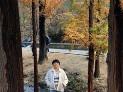 -白水寺森林公园