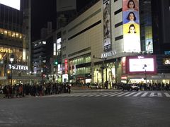 -涩谷区