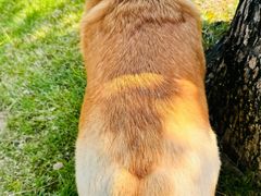 -养云安缦吧THE BAR