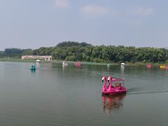 -大兴滨河森林公园