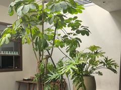 -自如ZSPACE四合院艺术餐厅