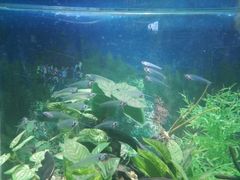 -绍兴梦享海洋公园