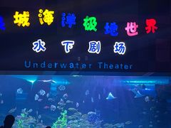 -泉城欧乐堡海洋极地世界