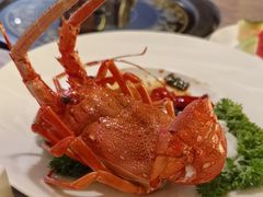 -采悦轩中餐厅·粤菜·海南菜(神州半岛喜来登度假酒店)