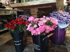 -Flower in(密渡桥店)
