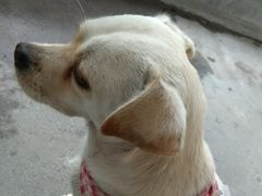 -成都中医药大学(温江校区)