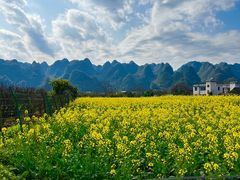 -万峰林风景区