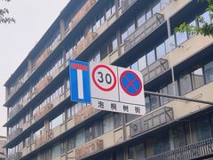 -泡桐树街