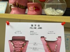 -美联众合爱康动物医院•复杂内科•肿瘤科•牙科•腔镜诊疗中心