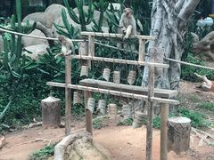 -广州长隆野生动物世界