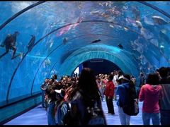 -多彩贵州城极地海洋世界