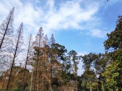 -西南交通大学(峨眉校区)