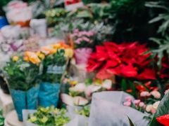 -循礼门鲜花花市(武汉循礼门店)