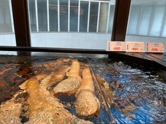 -南海渔村(珠江新城店)