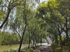 -广富林郊野公园