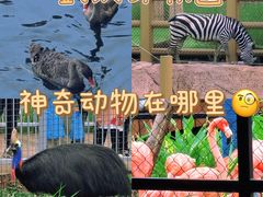 -武汉动物园