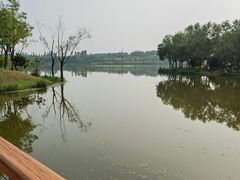 -东郊湿地公园