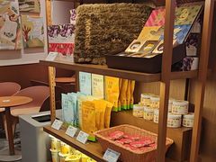 -奈雪的茶(石家庄万象城店)