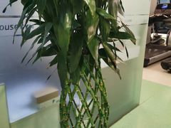 -宝力豪健身(中粮广场店)