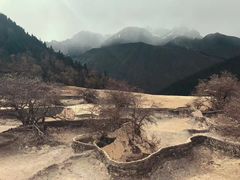 -黄龙山原始森林景区