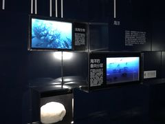 -同济大学四平路校区深海探索馆