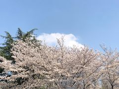 -湘湖金融镇