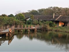 -海上田园