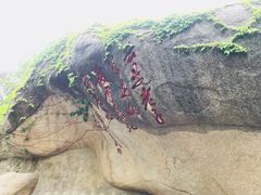 -崂山仰口游览区