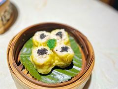 -点都德·毕德寮