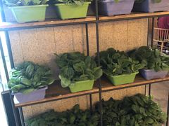 -番食园鲜食火锅(高新店)