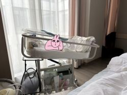 -弗蕾亚·辰月月子度假中心(光谷店)