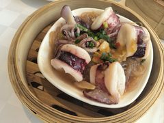 蒜蓉粉丝蒸鱿鱼-春满园·早茶·粤菜·宴会(粤海店)