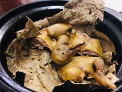 飘香盐焗鸽-富哥食店