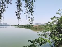 -艾溪湖湿地公园