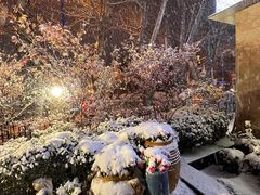 -雪园(南山街店)