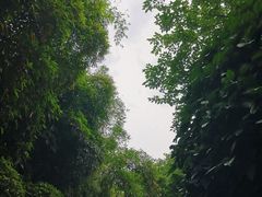 -重庆彩云湖湿地公园