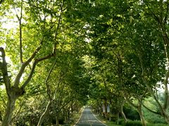 -上海第二工业大学(金海路校区)