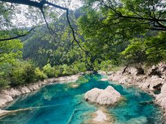 -九寨沟-树正沟