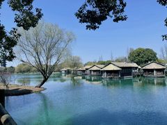 -乌镇景区