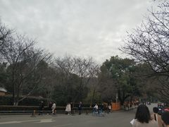 -武汉大学-樱园