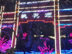 -南山植物园